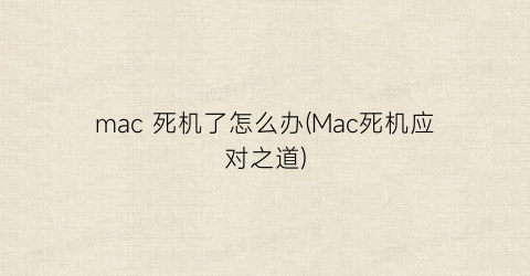 mac死机了怎么办(Mac死机应对之道)